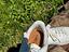 Immagine 5