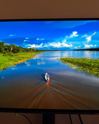 LG UltraGear OLED 27GS95QE Monitor Gaming 27"