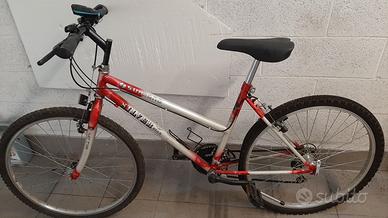 Mountain bike adulto