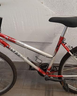 Mountain bike adulto