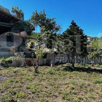 Terreno Agricolo Messina [Cod. rif 3225049VCG]