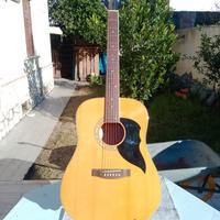 Chitarra Eko Ranger acustica
