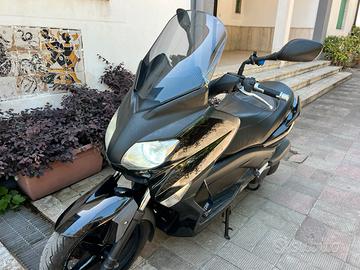 Xmax 250 2010