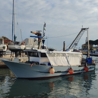 Barca da Pesca con Licenza / Pechereccio