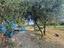 Immagine 24