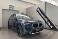 BMW X1 xDrive25e Business Advantage