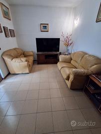Coppia Divani a 2 posti in pelle Beige
