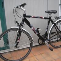 Bicicletta uomo in Lega di Qualità TL. XL