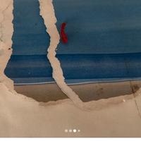 Quadro con firma dell’artista