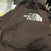 felpa the North face 