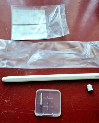 🖊️ Apple Pencil 2 Custodia + Punta di Ricambio
