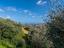 Immagine 13
