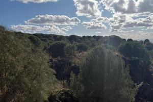 Agricolo a Nicolosi