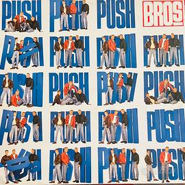 Vinile LP 12” bros push