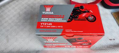 Batteria Yuasa YTZ14S