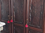 Immagine 5