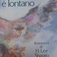 Libro "Nessun luogo è lontano" di Richard Bach