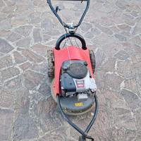 Tagliaerba Benassi trazionato