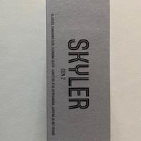 Occhiali Rayban Skyler Meta Gen2