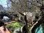 Immagine 24
