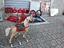 Immagine 5