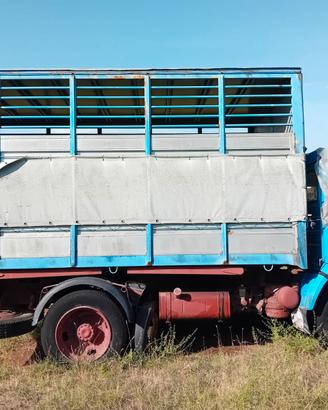 Camion OM 90.13 con cassone e furgone frigo