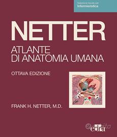 Atlante netter