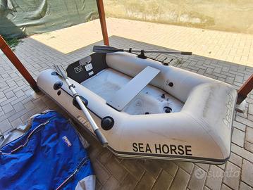 tender Bombard MAX 3G Aero (remi e borsa inclusi)