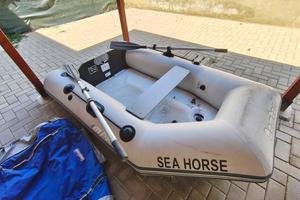 tender Bombard MAX 3G Aero (remi e borsa inclusi)