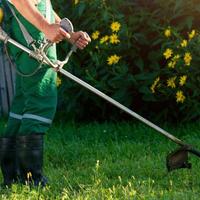 Pulizia terreno - operaio agricolo