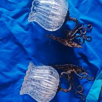 Coppia Appliques 