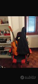 Chitarra con la sua costudia