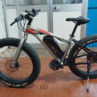 Fat bike 26x4,00 assistita