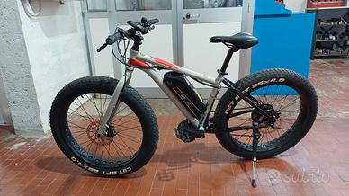 Fat bike 26x4,00 assistita