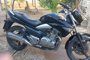 Moto Suzuki Inazuma 250 cc