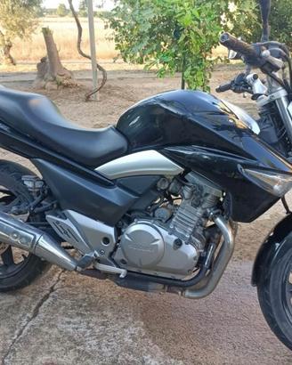 Moto Suzuki Inazuma 250 cc