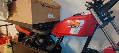 Ricambi Honda FT 500 Ascot (1982-1984)