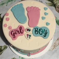 Torta finta per gender reveal
