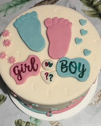 Torta finta per gender reveal