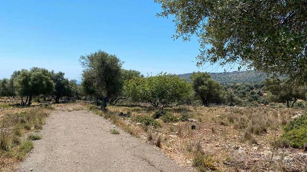 Terreno in c.da Teste mozze - Noto