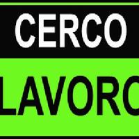 sono impiegato ecommerce spedizioni amministra zio