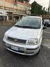 fiat-panda-neopatentati