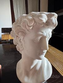 Testa David di Michelangelo