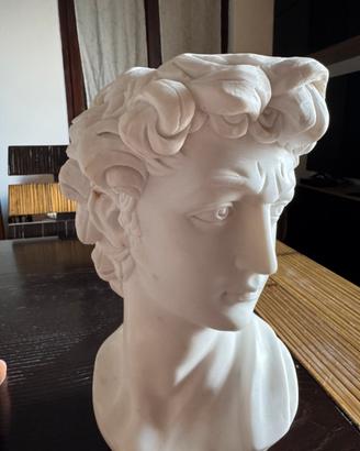 Testa David di Michelangelo