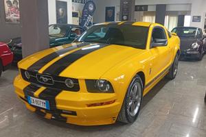 Mustang 