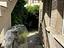 Immagine 13