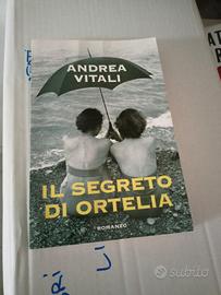 libro di Andrea Vitali 