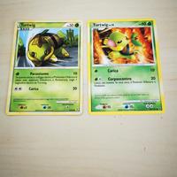 Doppio turtwig carte Pokemon Pv50 pv60