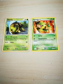 Doppio turtwig carte Pokemon Pv50 pv60