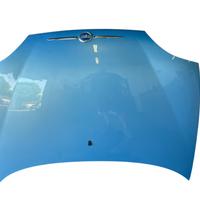 COFANO ANTERIORE FIAT Seicento Serie (00>05)